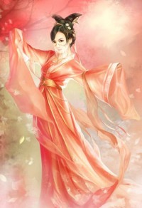 風起大宋